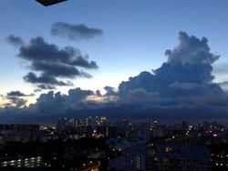 Esta Ruby (D14), Apartment #483319081